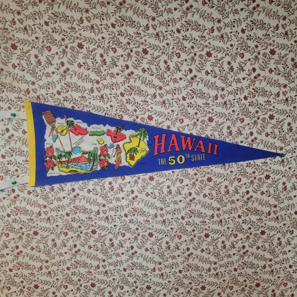 Vintage Hawaii 50th State Pennant Flag